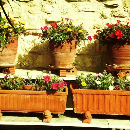 La Maison Aux Volets Bleus Bed and breakfast Venasque